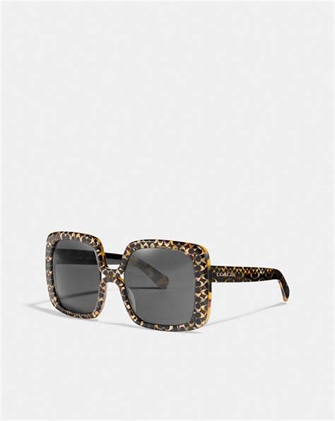 coach signature square sunglasses